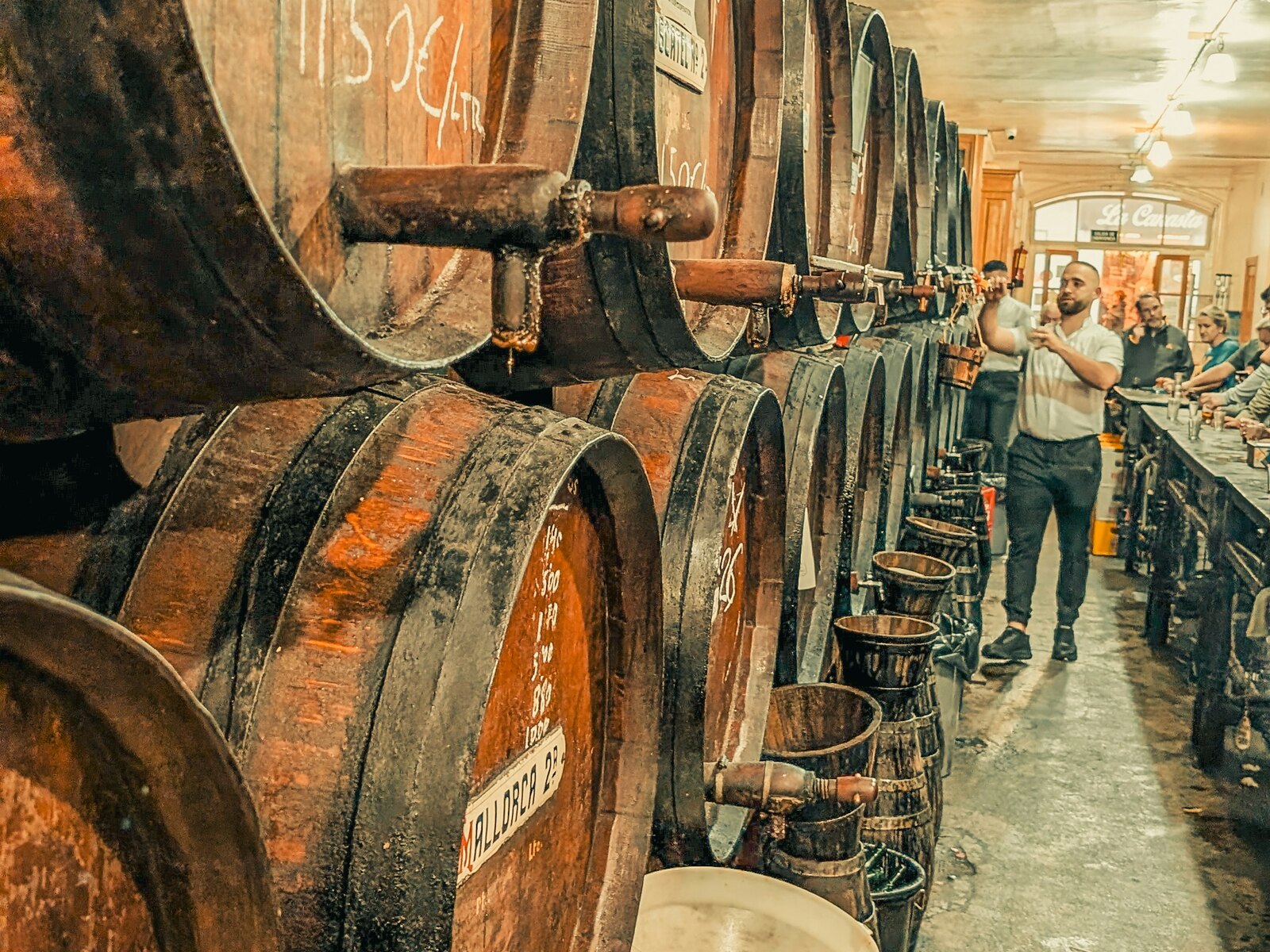 Wooden barrels in the barrel room